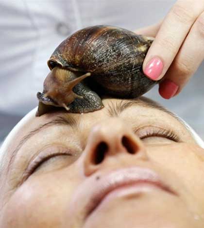 Would You Try A Slimy Snail Facial?